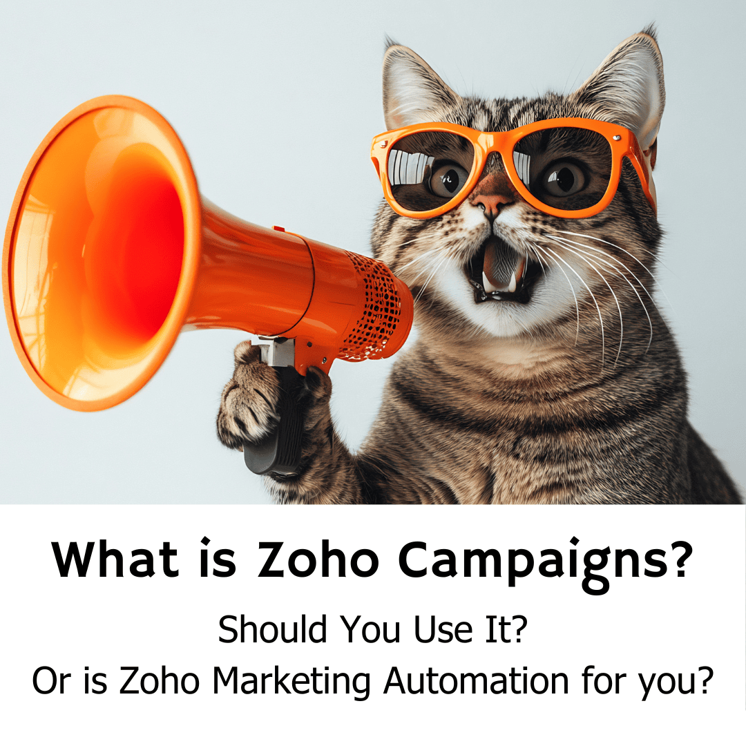 Zoho Campaigns: The Easy Way to Launch Email & SMS Marketing for Your Business